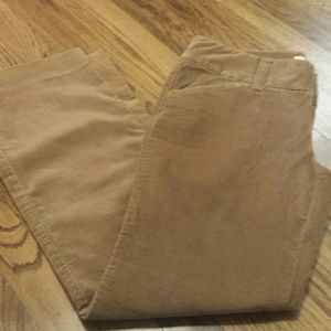 VS London jean corduroy